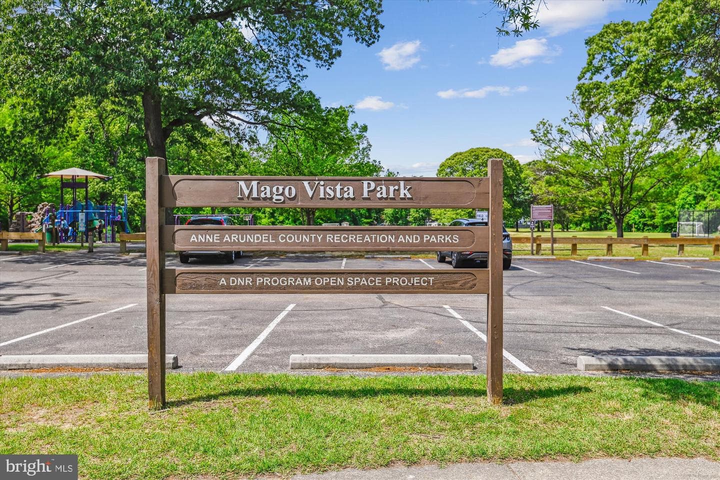 377 Volley Court photo 57