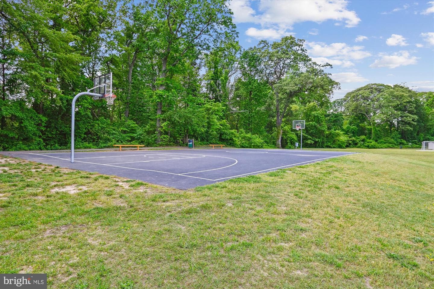 377 Volley Court photo 60