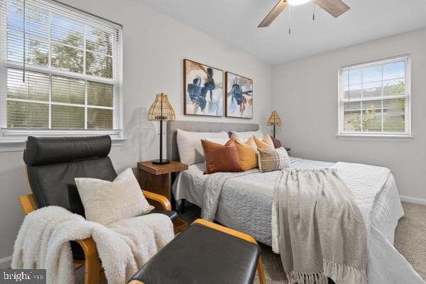 770 225th Street photo 15