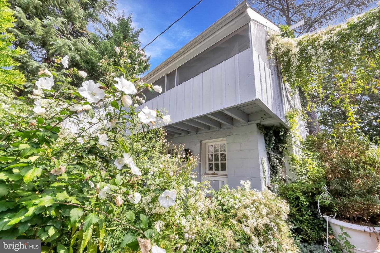 212 King George Street photo 2