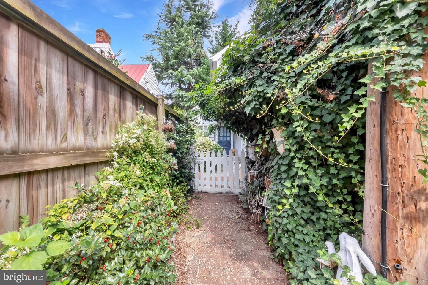 212 King George Street photo 6