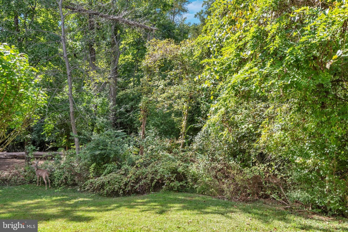 948 Yachtsman Way photo 51