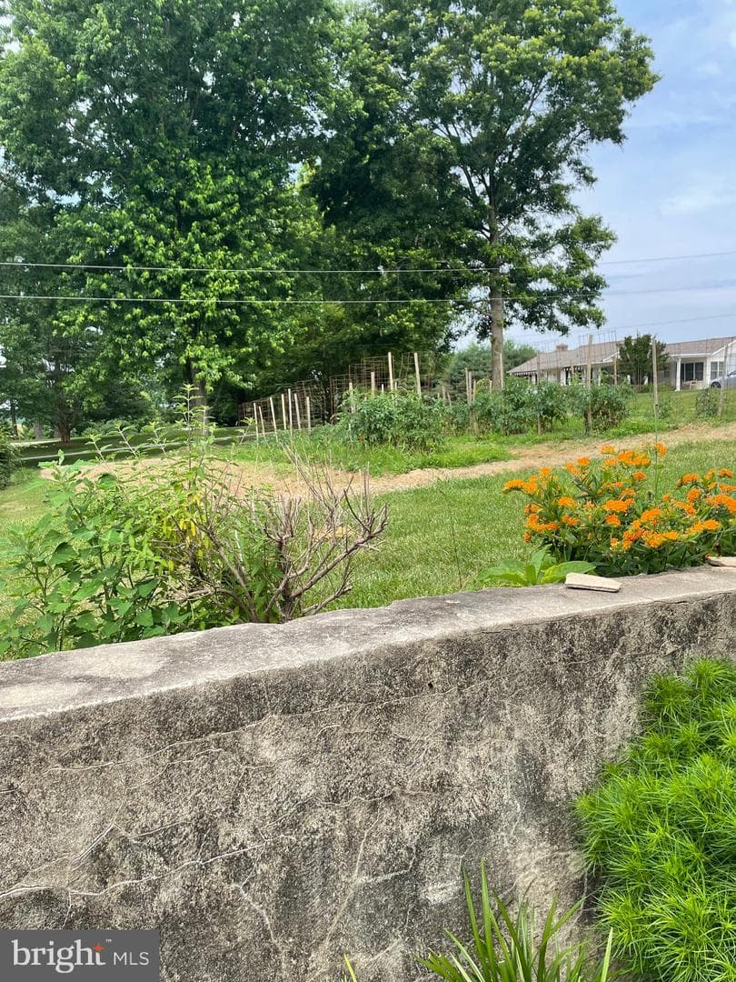 1080 Mt Airy Road photo 47