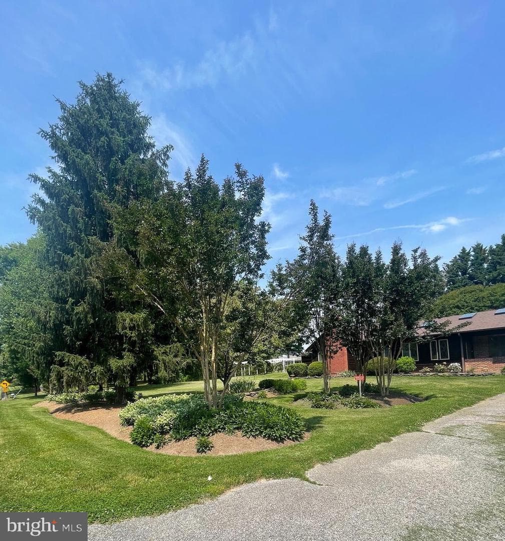 1080 Mt Airy Road photo 6