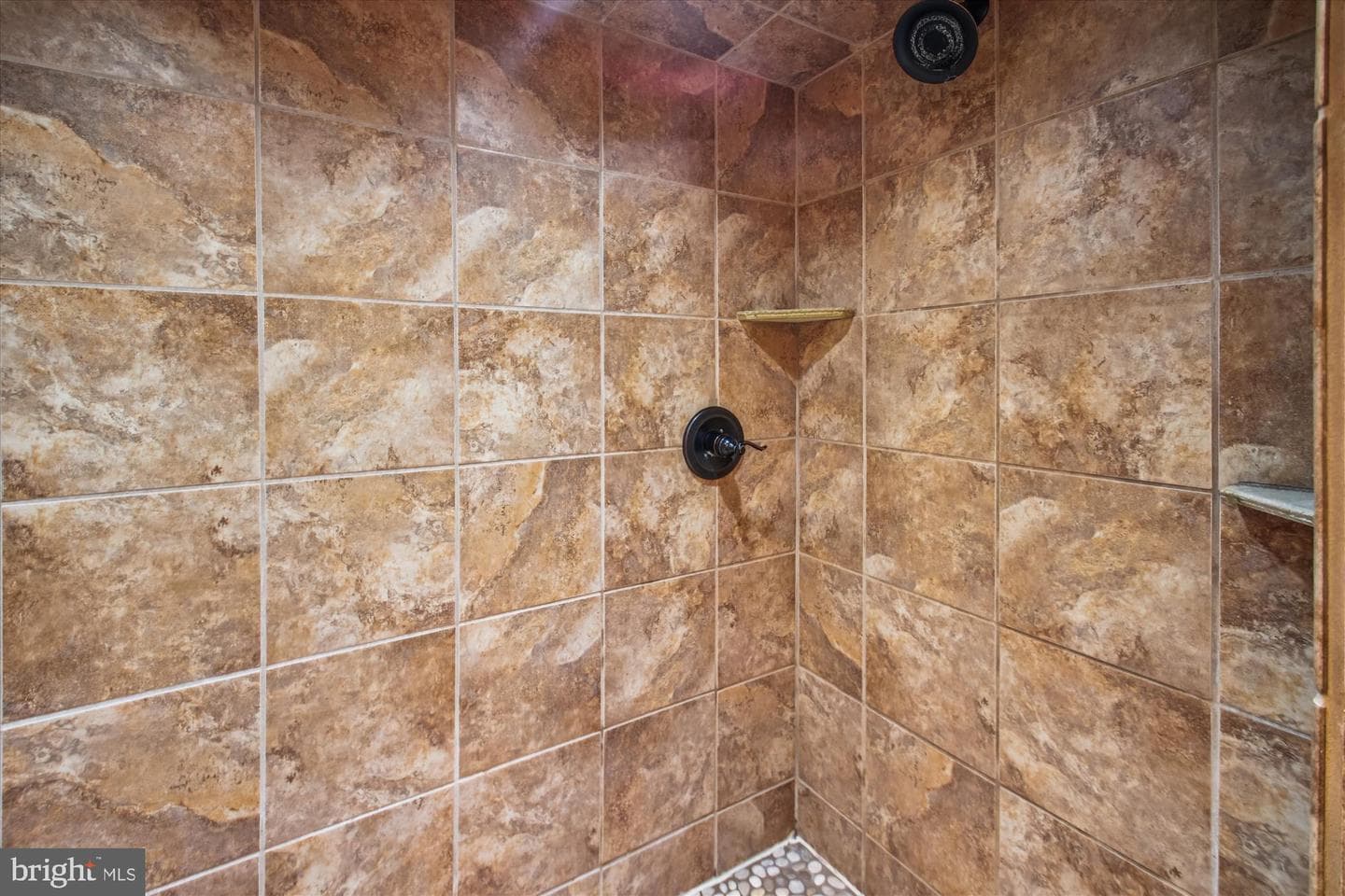 57 Mapledale Avenue photo 42