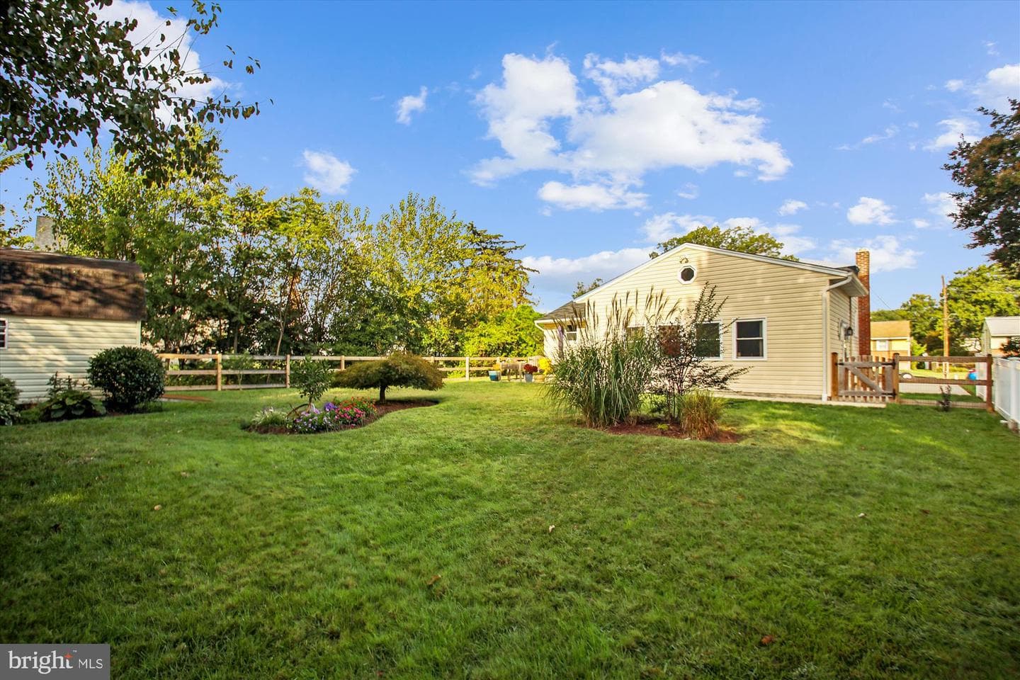 57 Mapledale Avenue photo 5