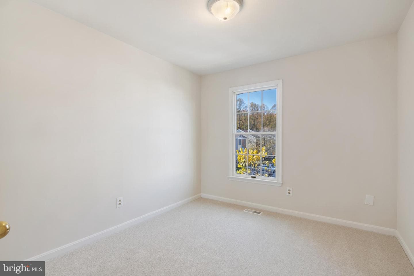 268 Saint Michaels Circle photo 23