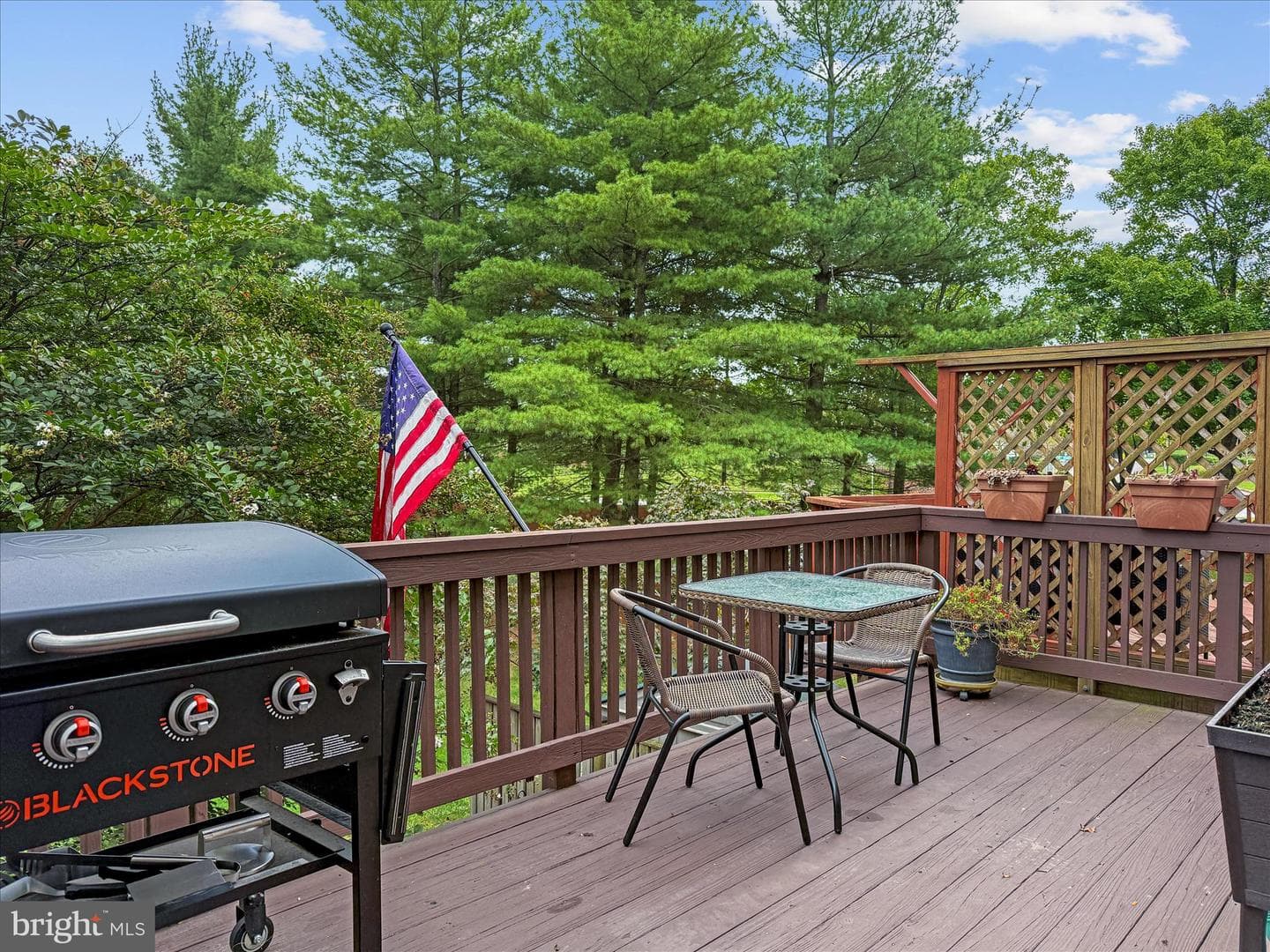 8539 Pine Meadows Drive photo 27