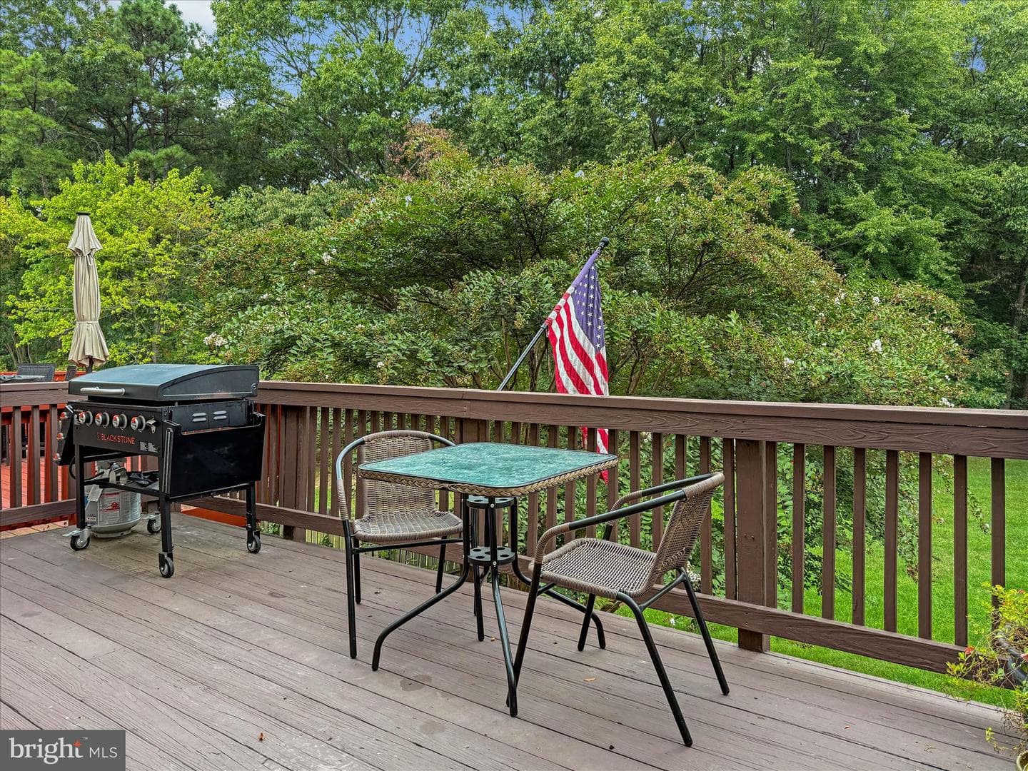 8539 Pine Meadows Drive photo 28