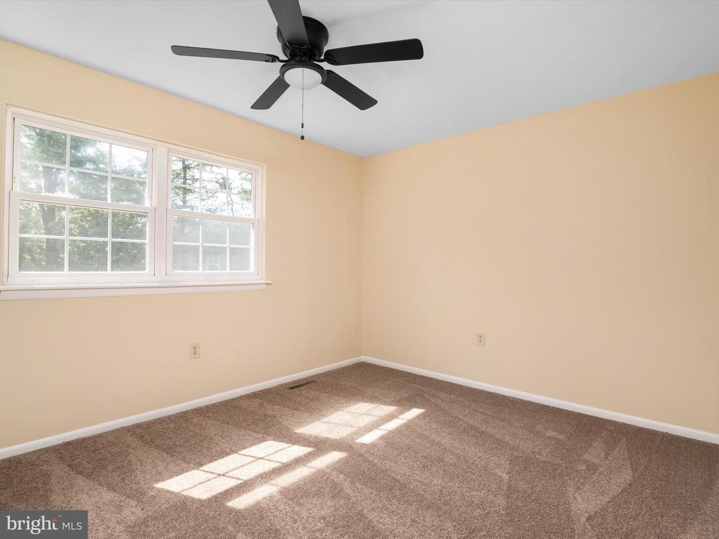 8421 Norwood Drive photo 17