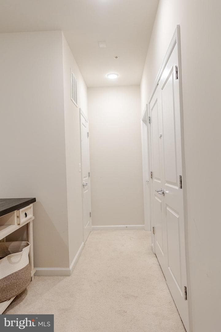 3209 Merganser Drive photo 39