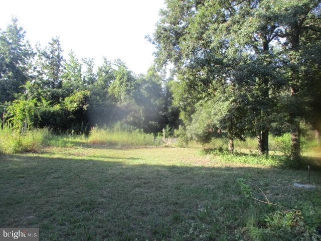 771 Queenstown Road photo 3