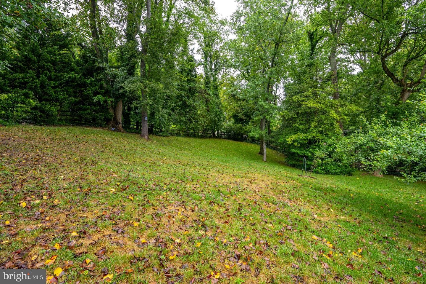 701 Sonne Drive photo 41