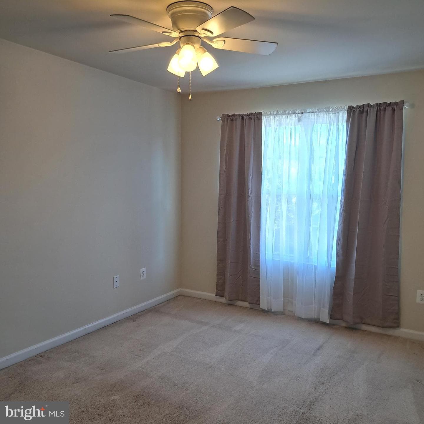 504 Walters Place photo 18
