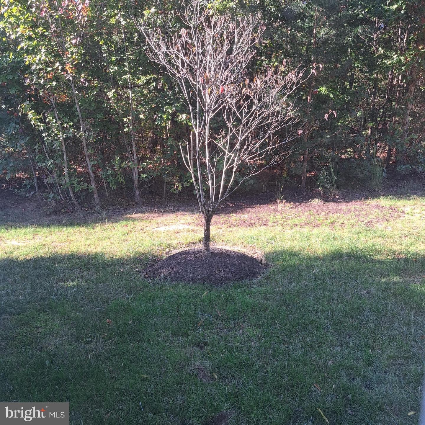 504 Walters Place photo 39