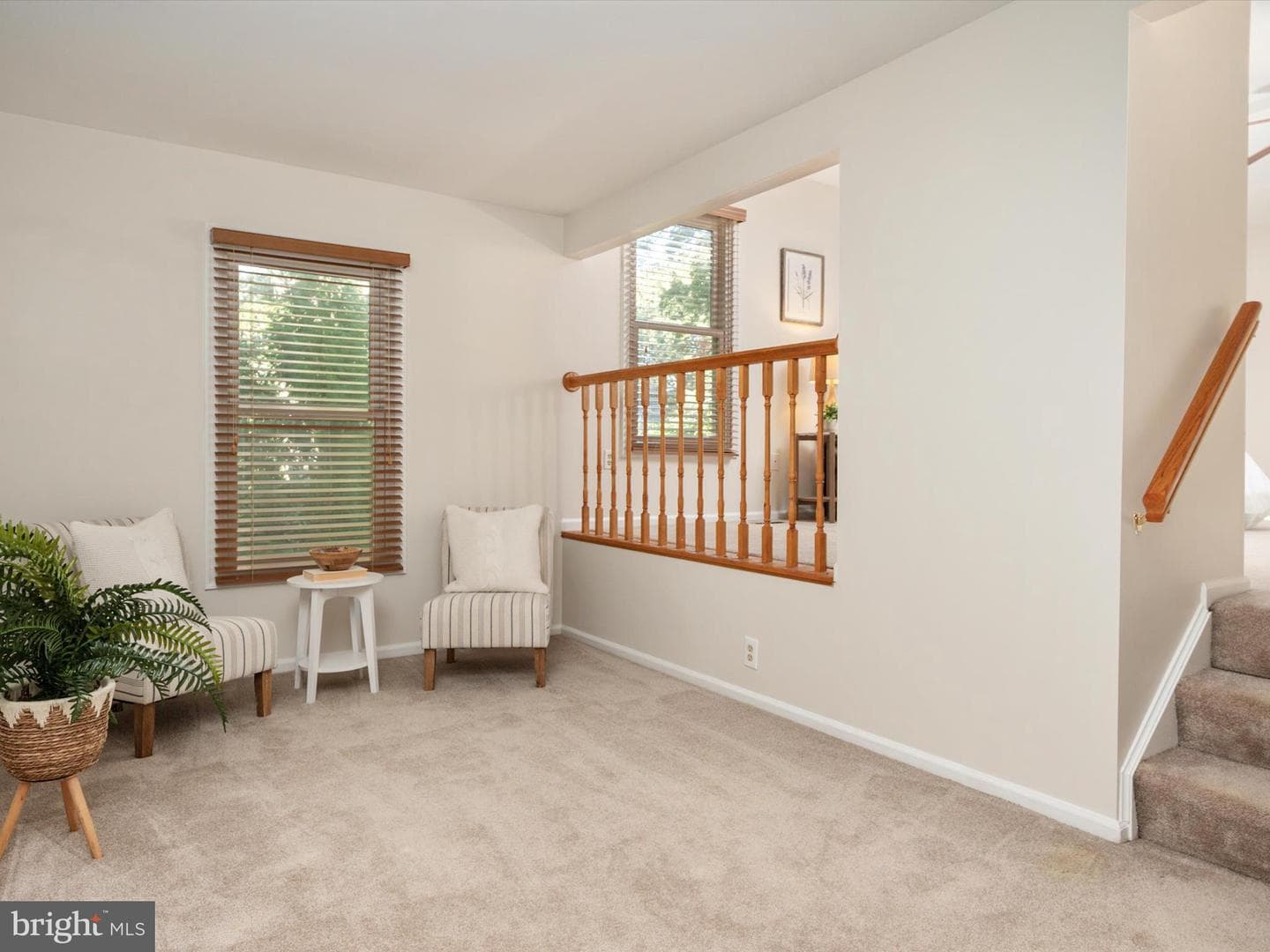 302 Blue Cedar Court photo 19