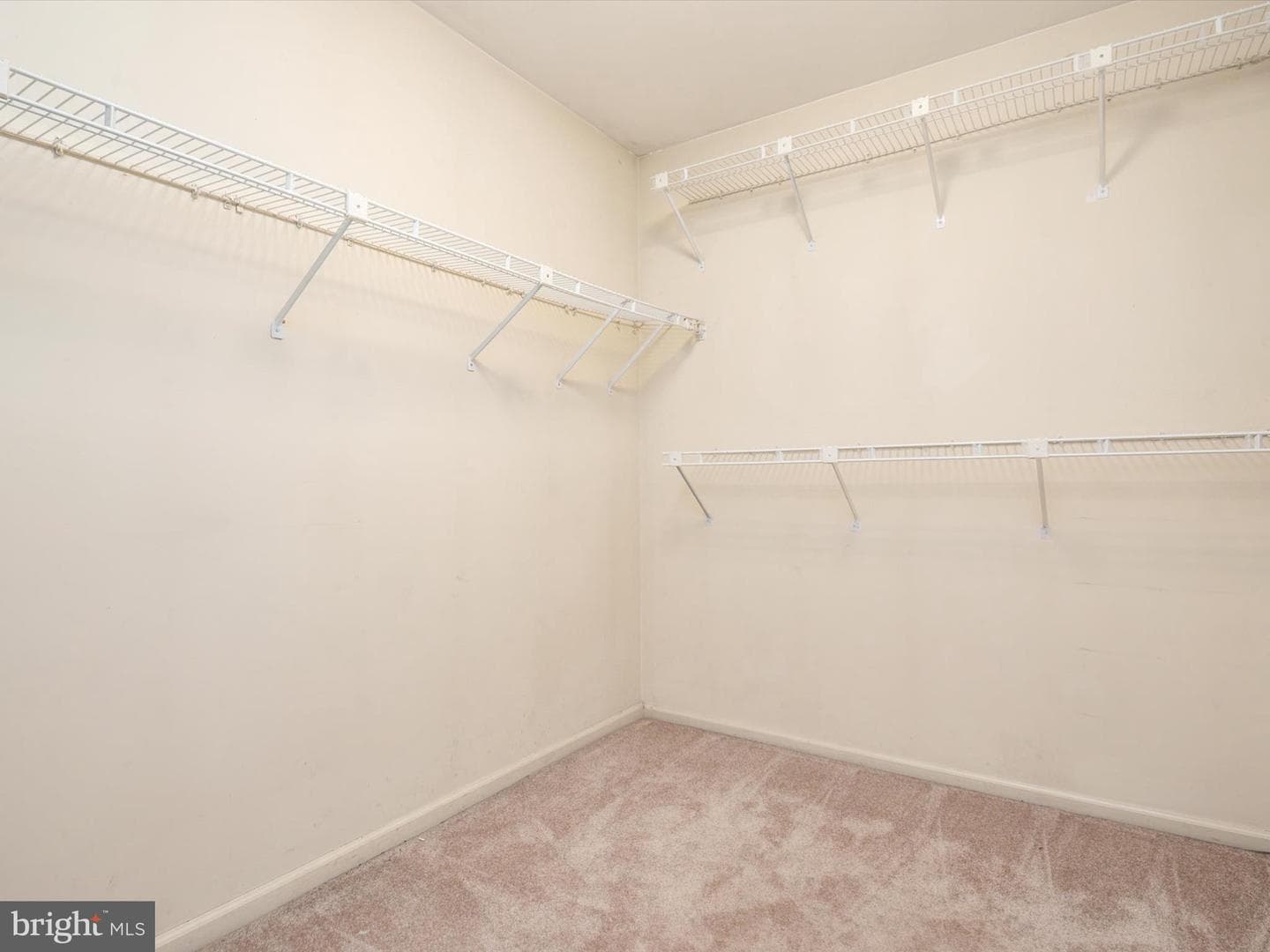302 Blue Cedar Court photo 21