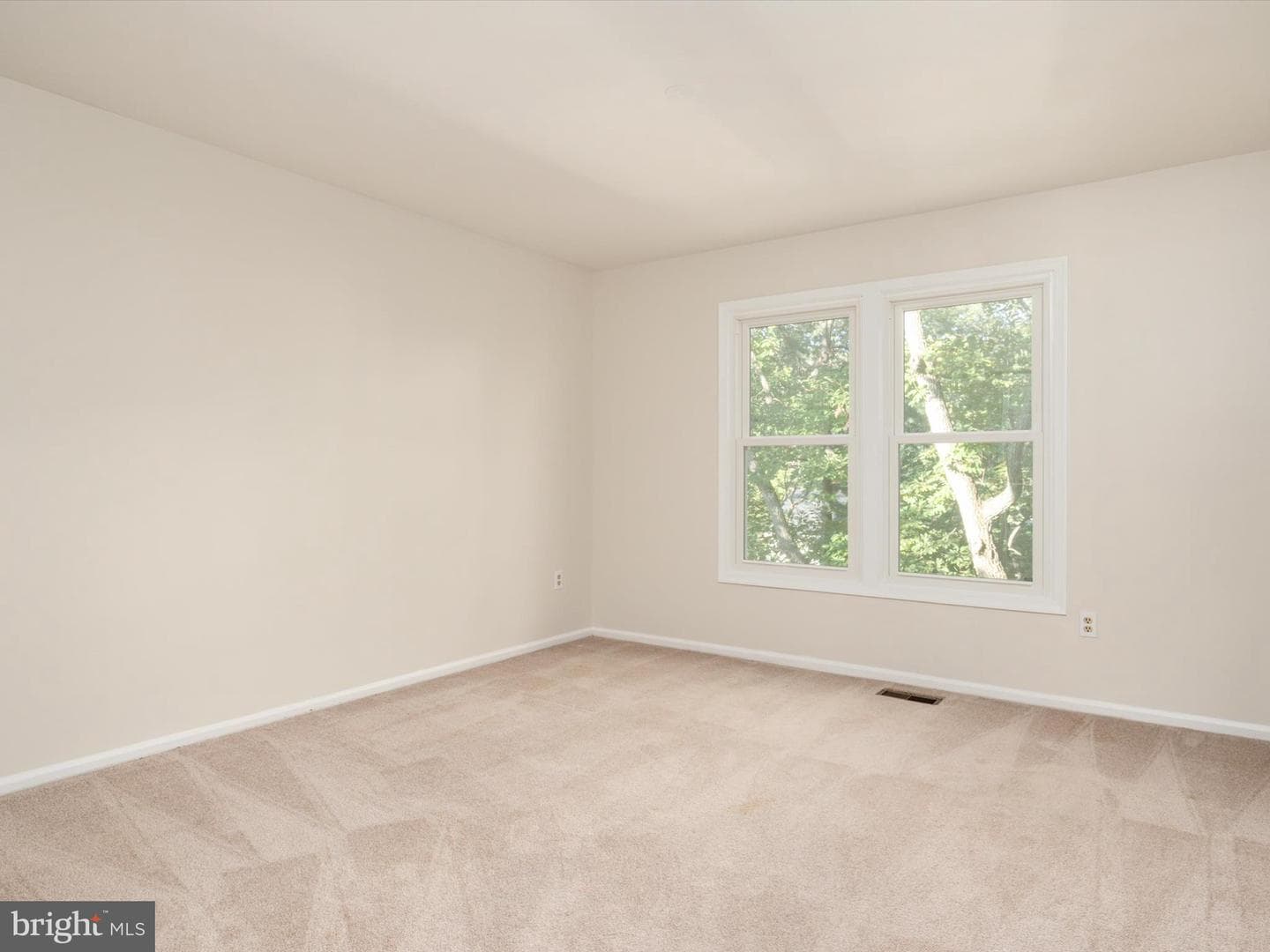 302 Blue Cedar Court photo 25