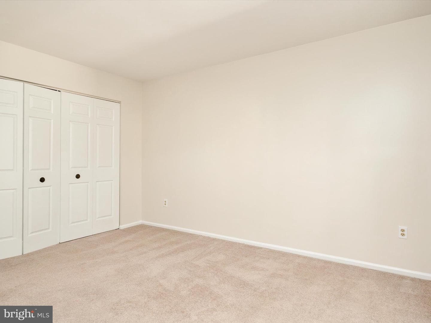 302 Blue Cedar Court photo 26