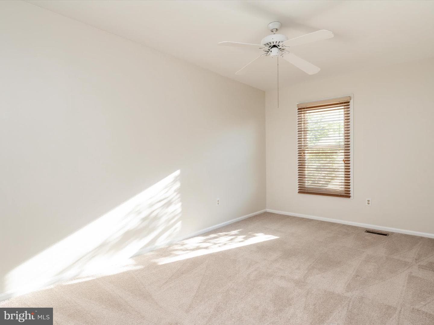 302 Blue Cedar Court photo 29
