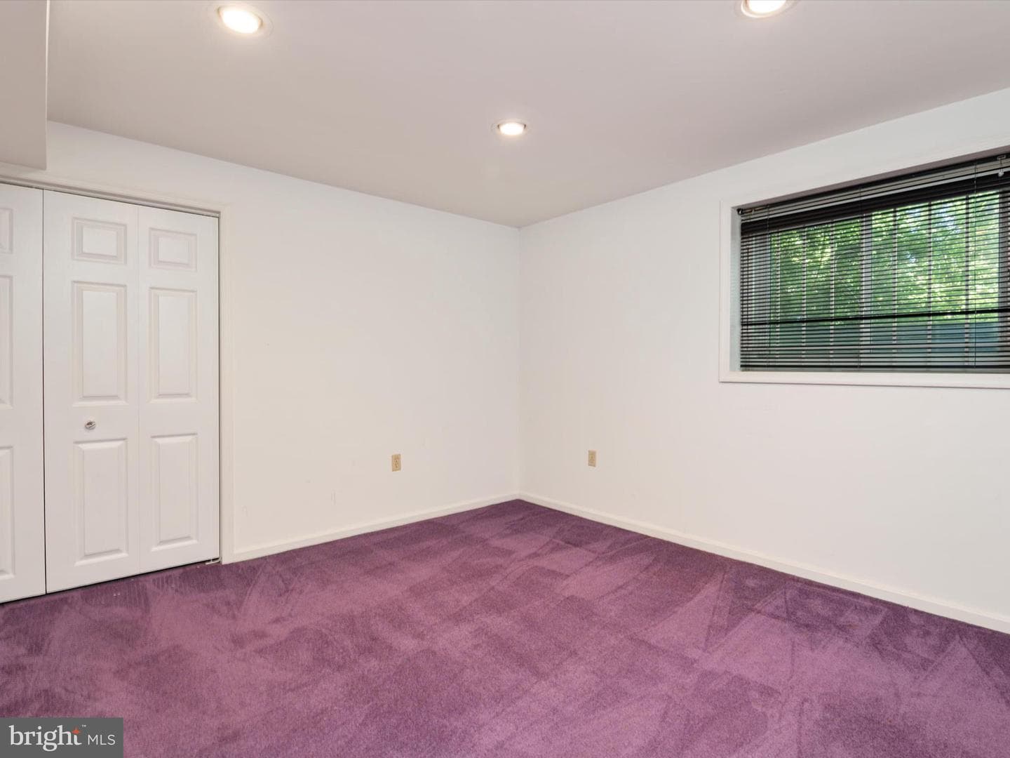 302 Blue Cedar Court photo 34