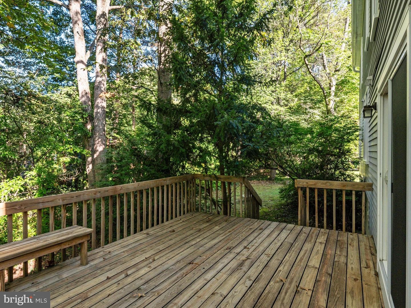 302 Blue Cedar Court photo 36