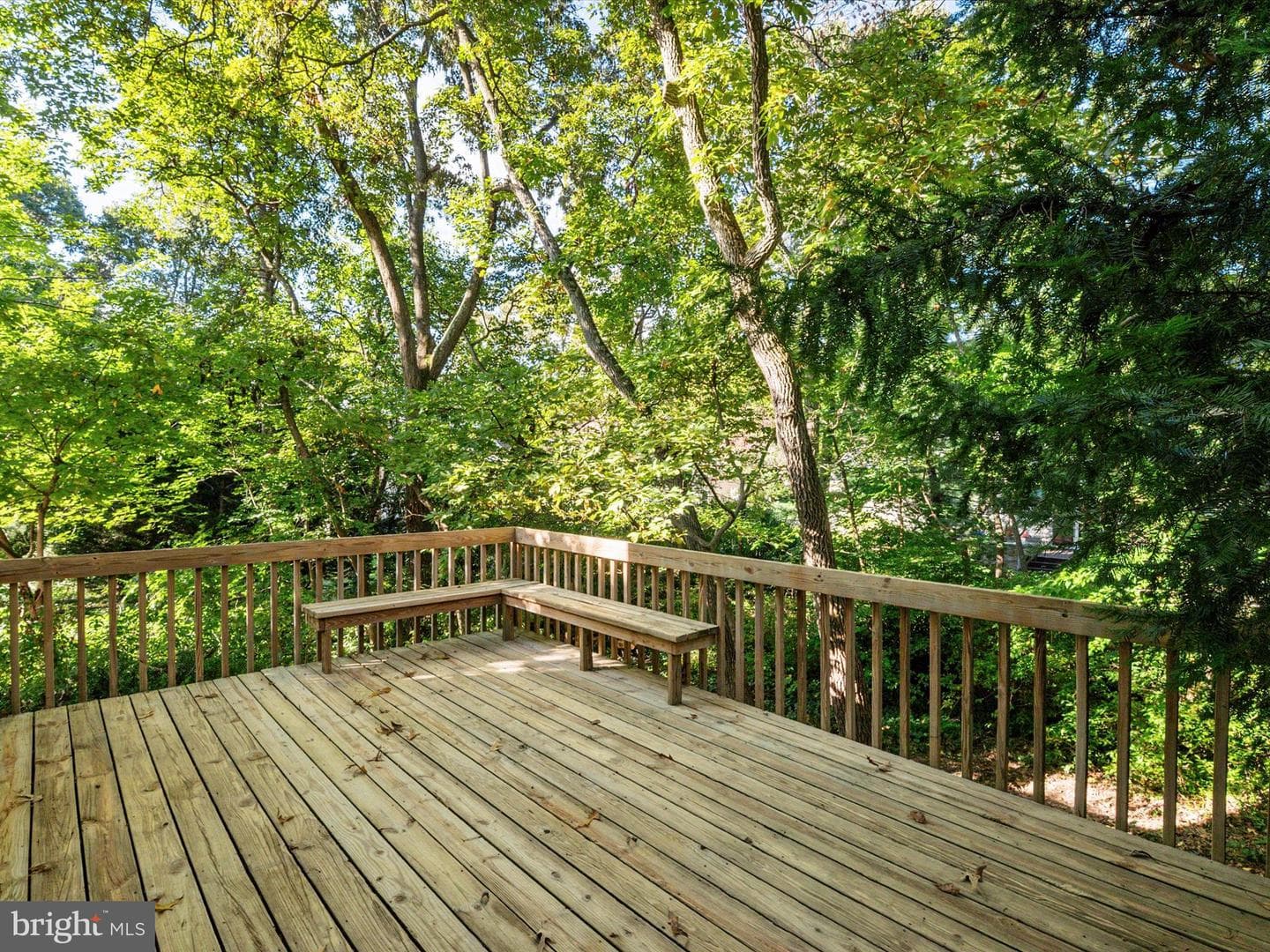 302 Blue Cedar Court photo 37