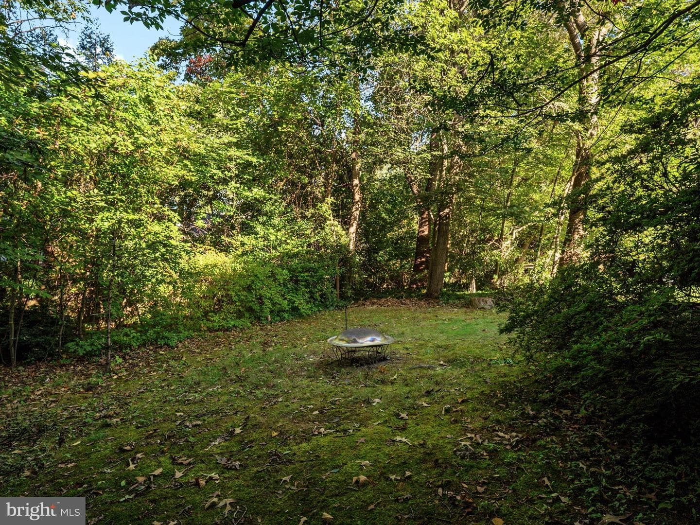 302 Blue Cedar Court photo 41