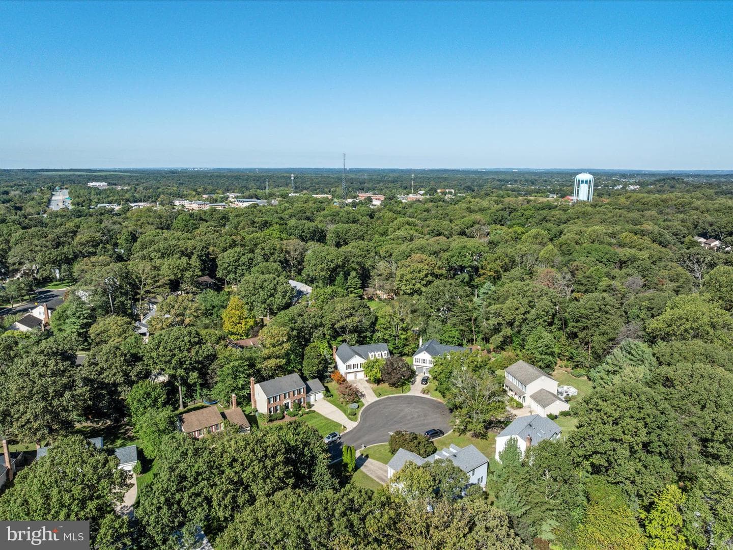 302 Blue Cedar Court photo 44
