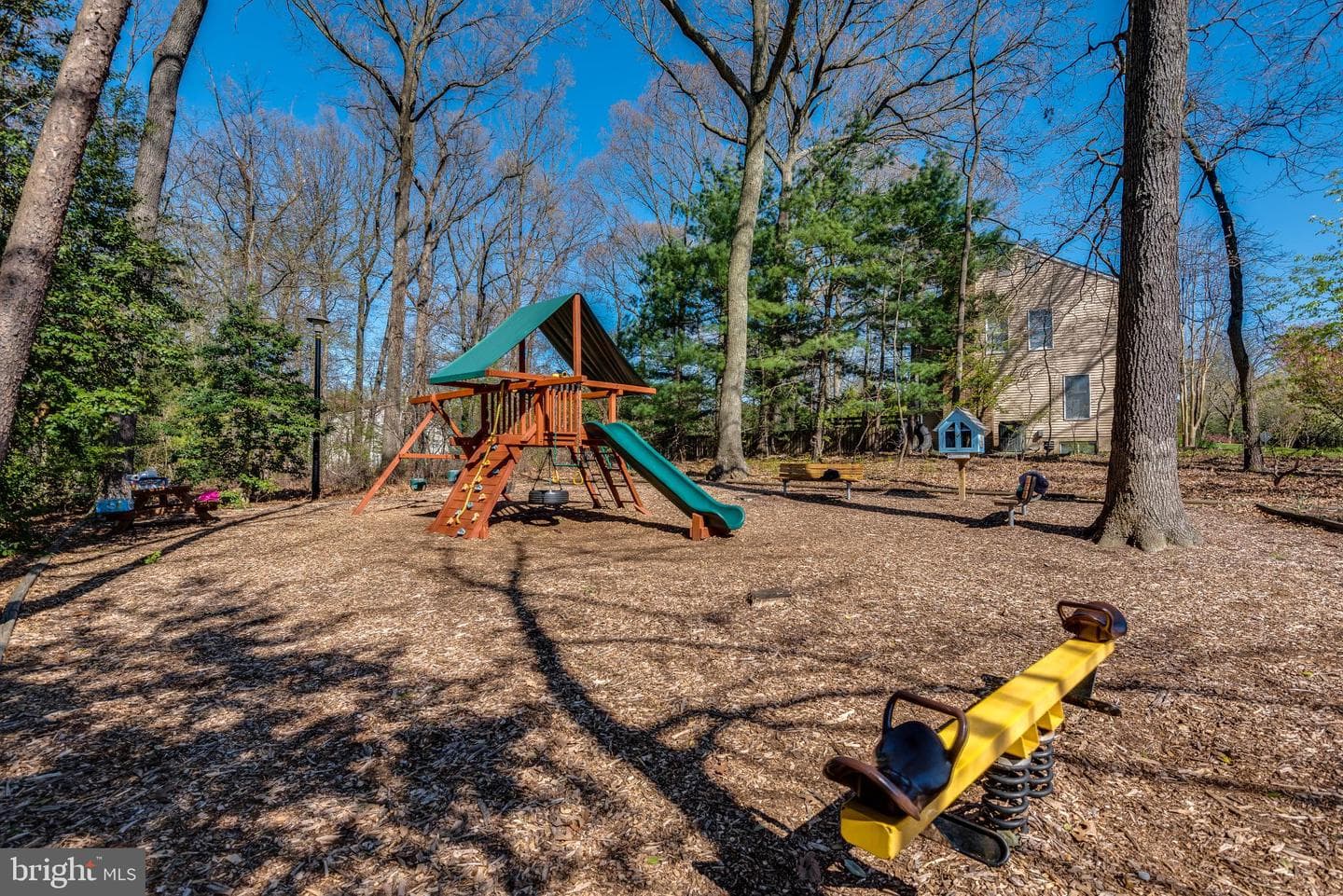 302 Blue Cedar Court photo 54