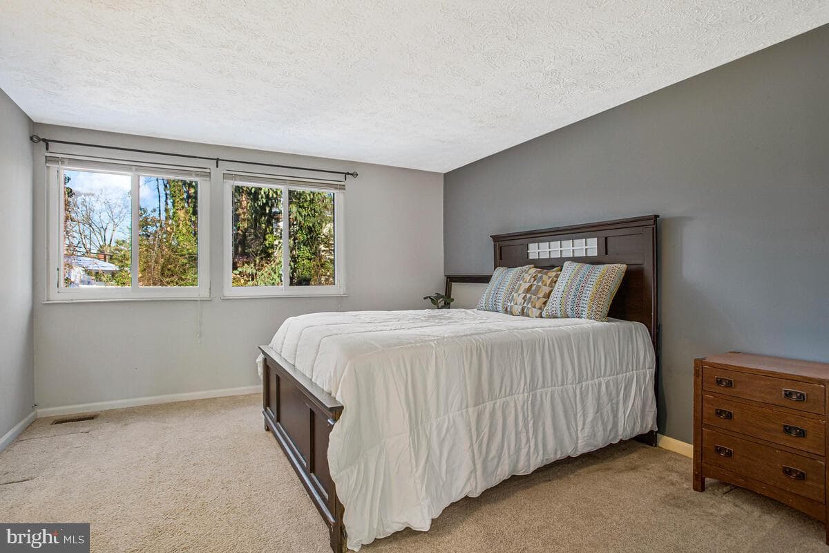 7550 Baleen Court photo 18