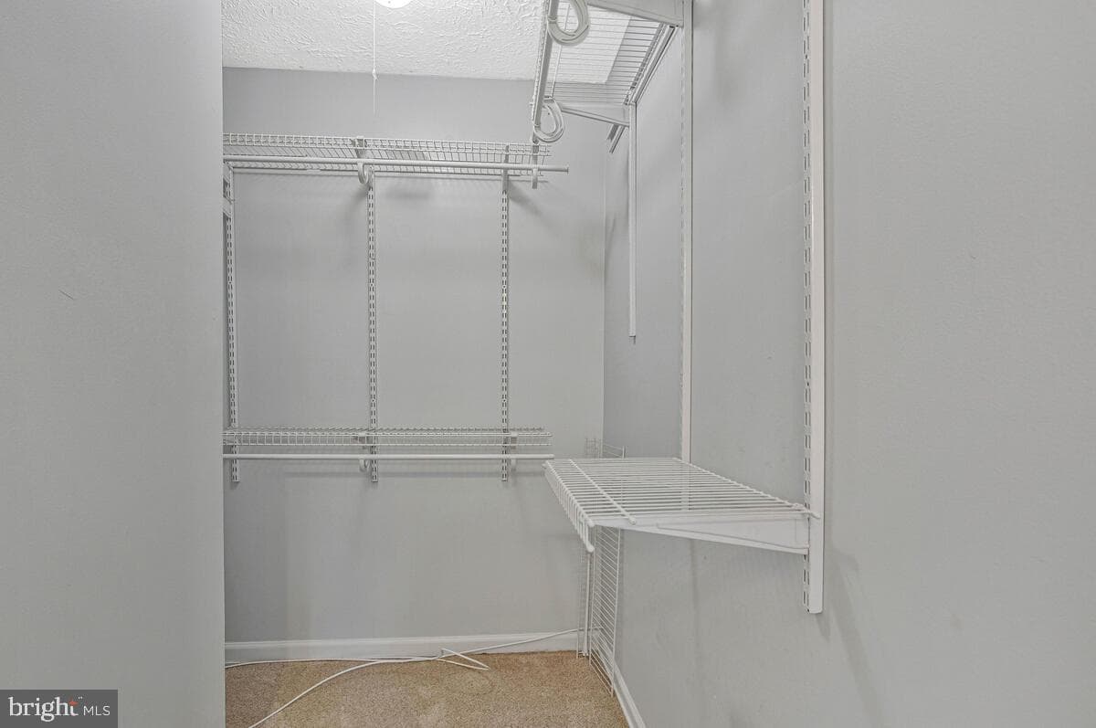 7550 Baleen Court photo 26