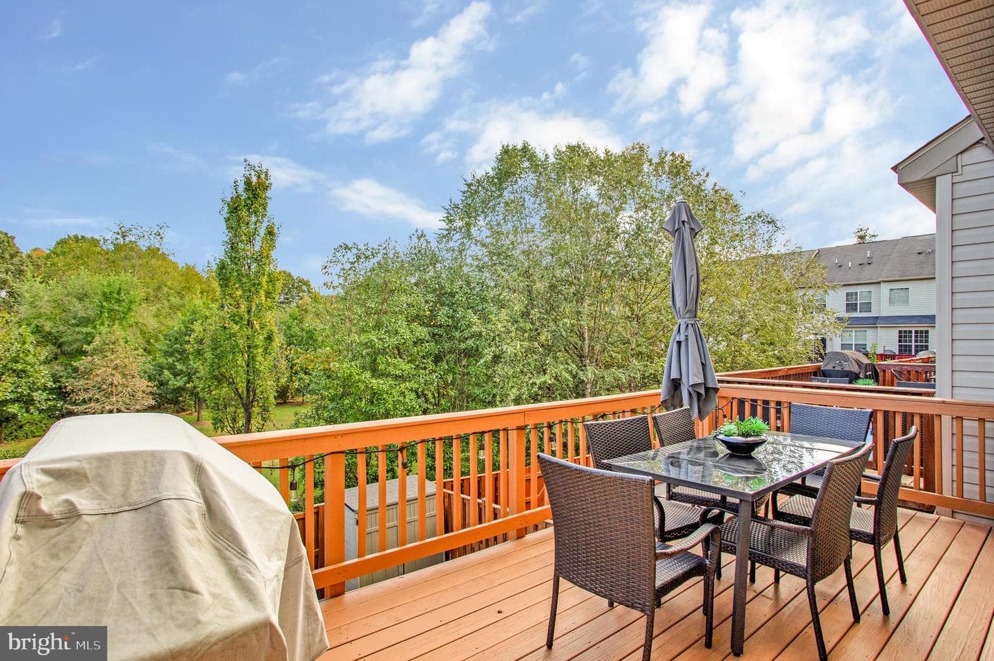 1184 Carinoso Circle photo 30