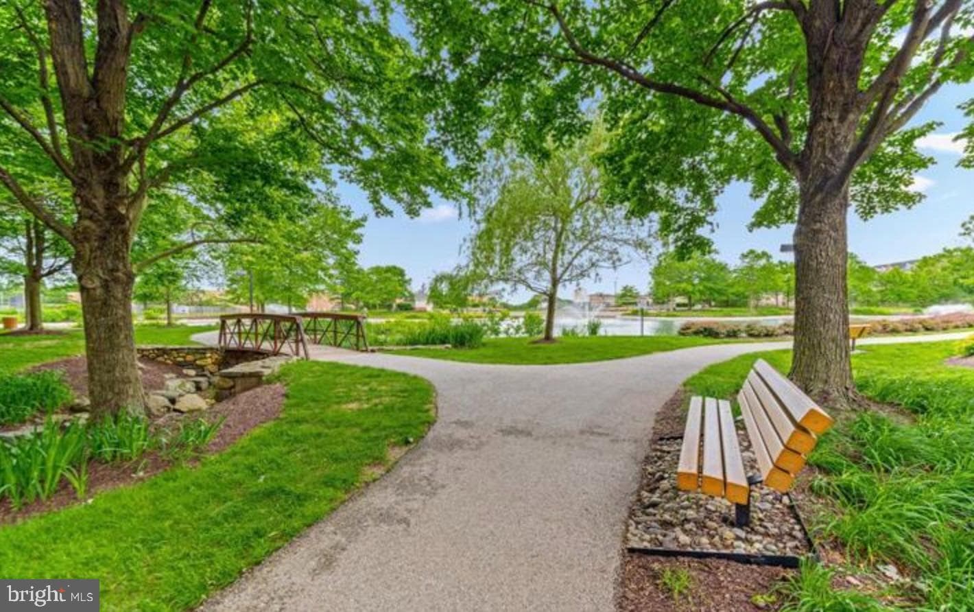 2494 Amber Orchard Court E #302 photo 32
