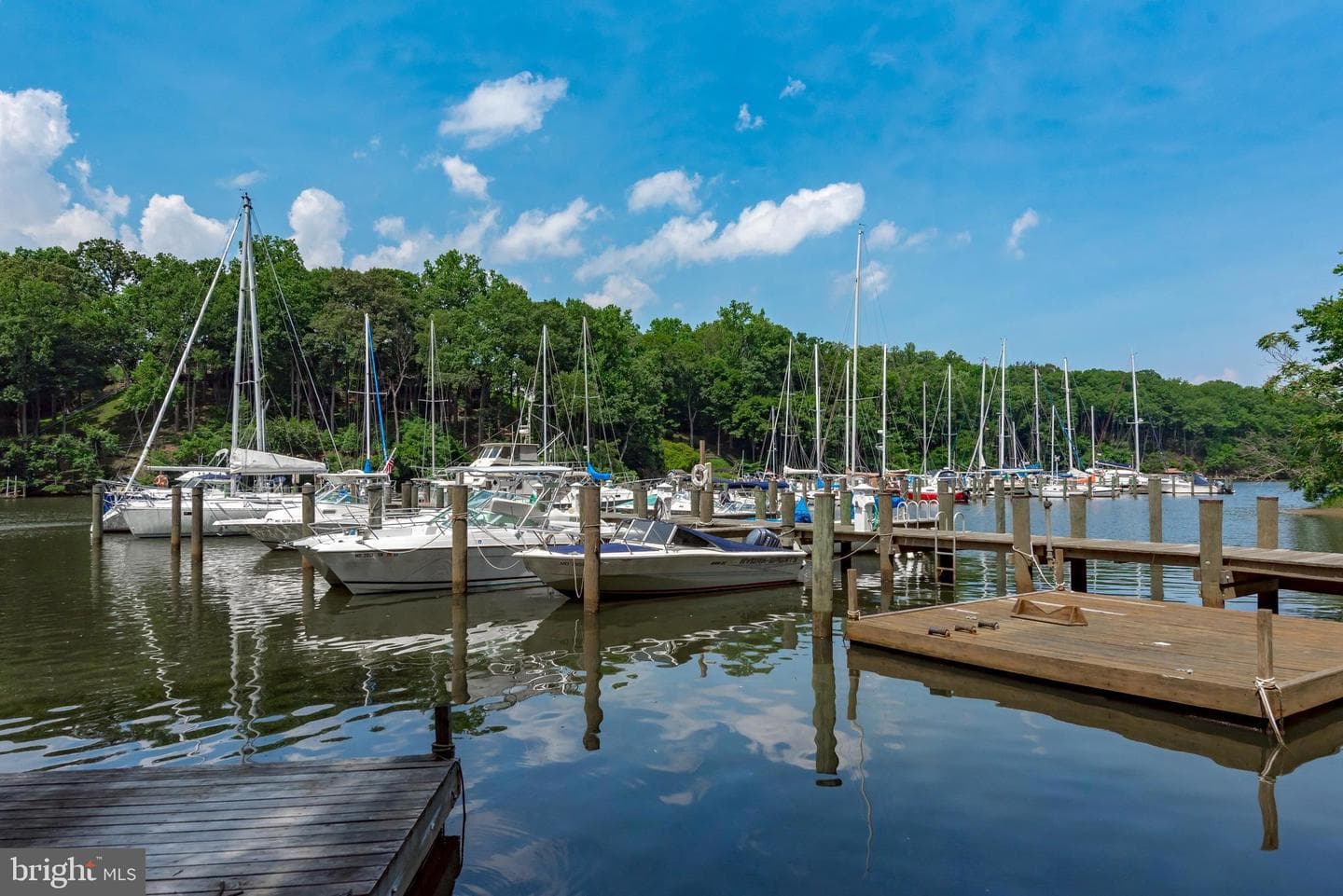 522 Epping Forest Road photo 89