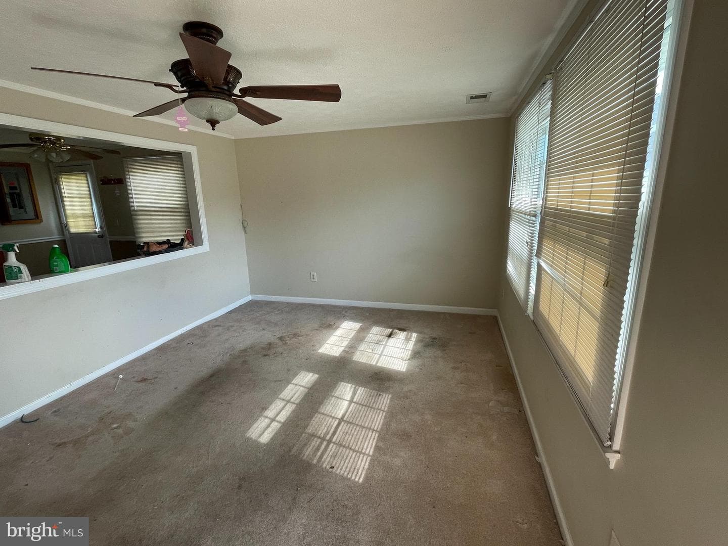 8537 Creek Road photo 2