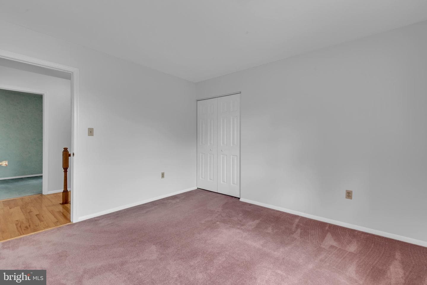 7991 Pauls Drive photo 19
