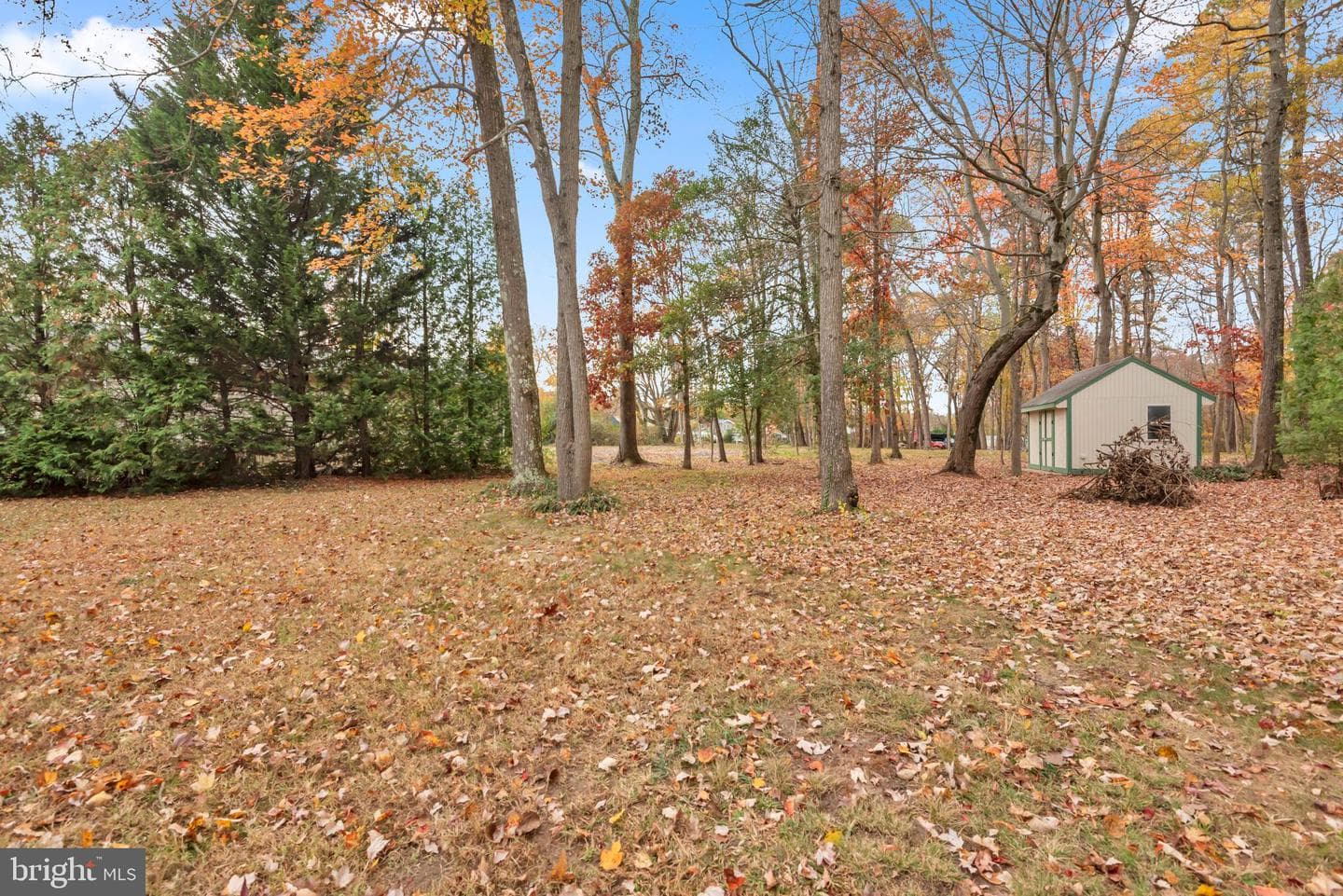 7991 Pauls Drive photo 40