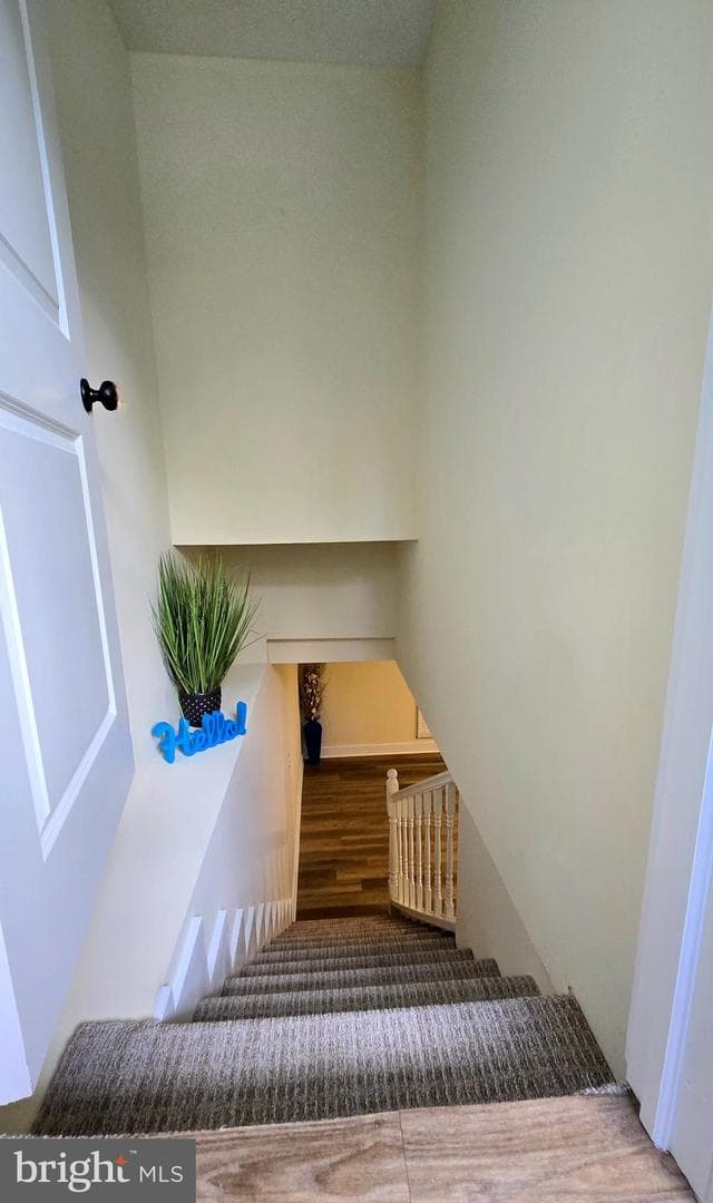 234 Arundel Road photo 20