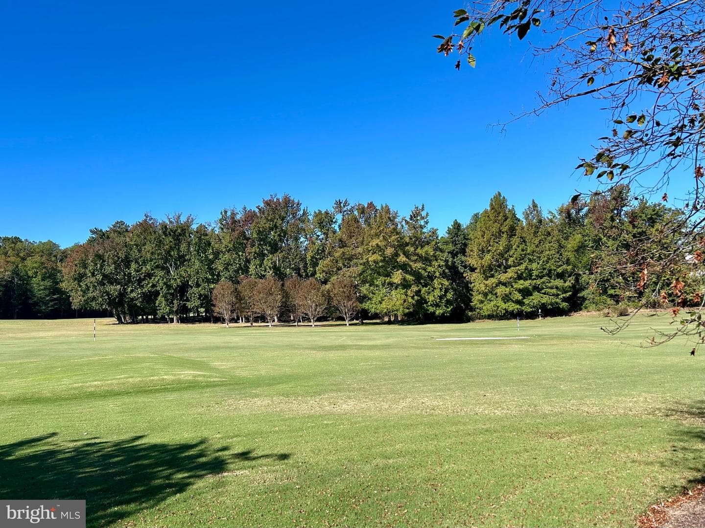517 Broadwater Way photo 8
