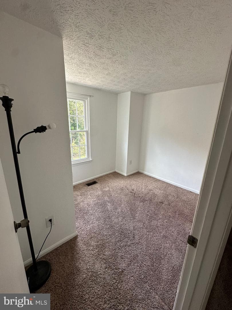 719 Willowby Run photo 22