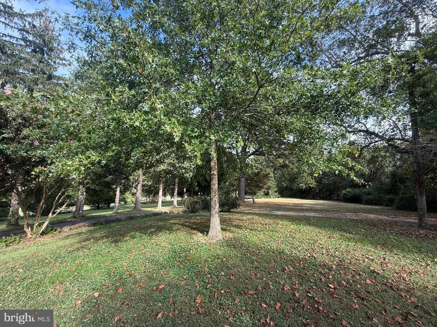 1101 Meredith Lane photo 3