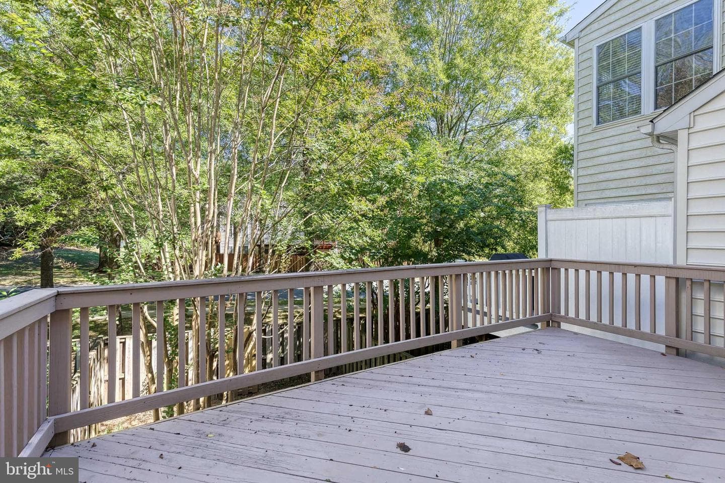 1217 Birchleaf Court photo 16