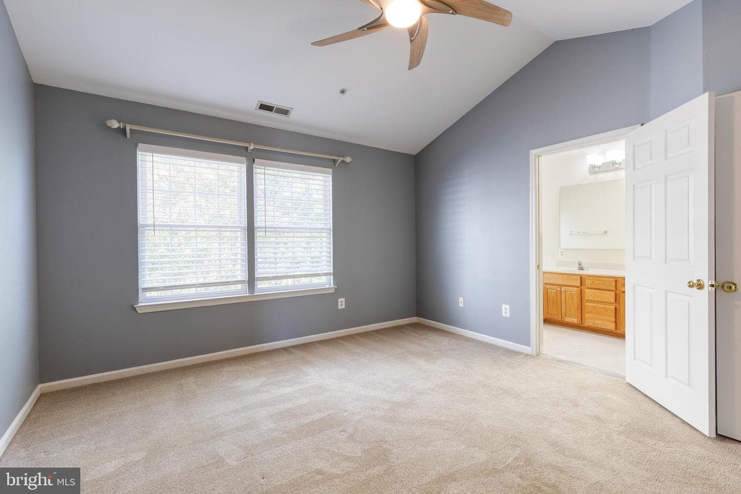 1217 Birchleaf Court photo 18