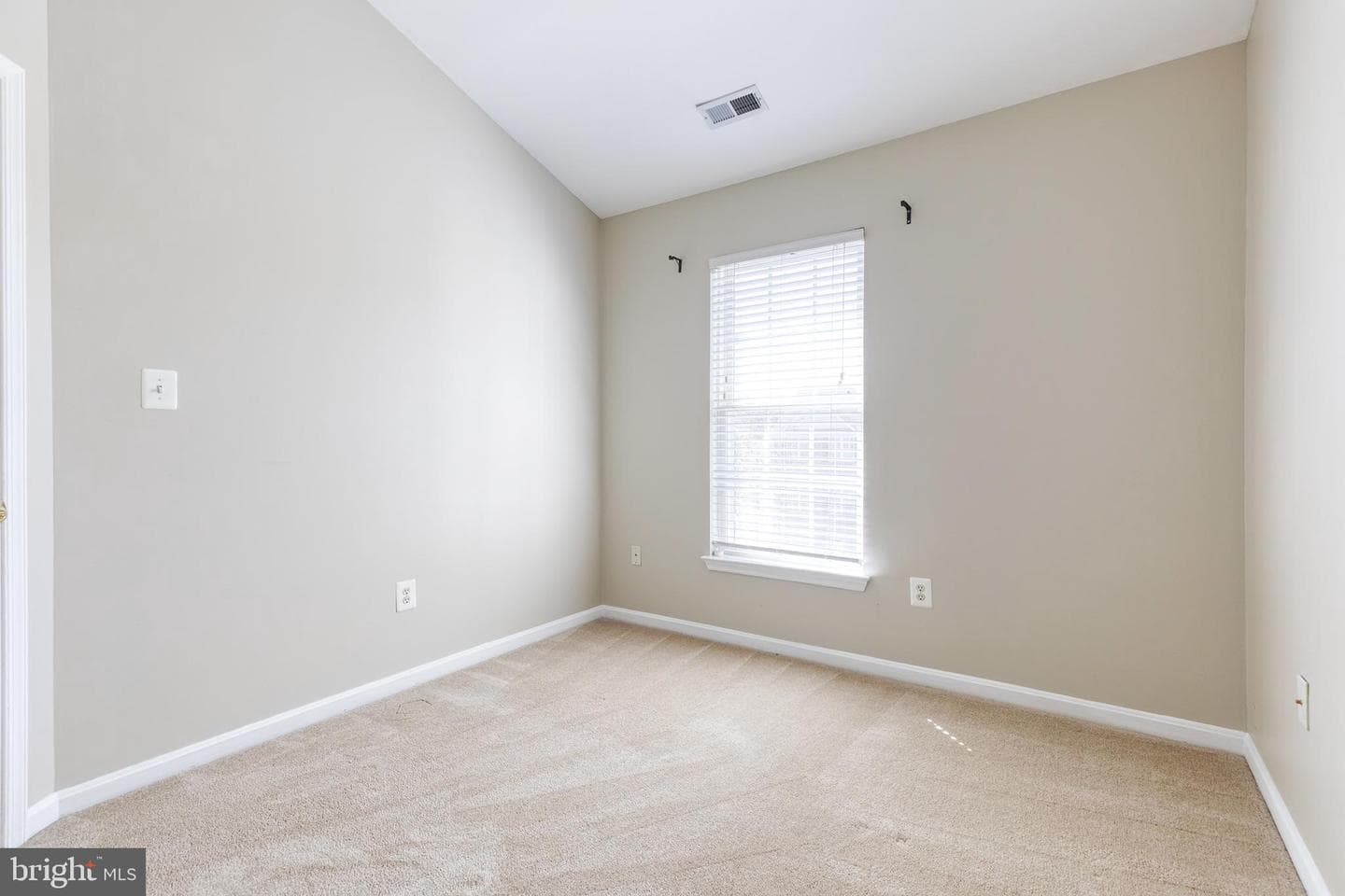 1217 Birchleaf Court photo 22