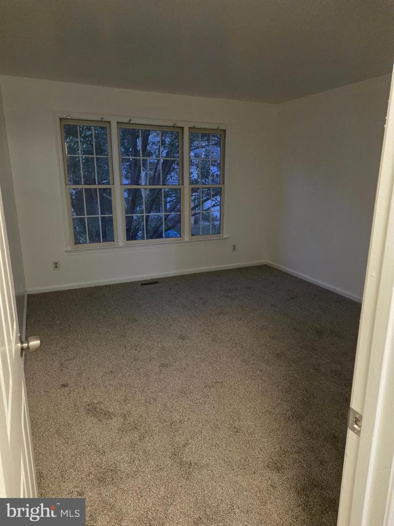 3551 Forest Haven Drive photo 21