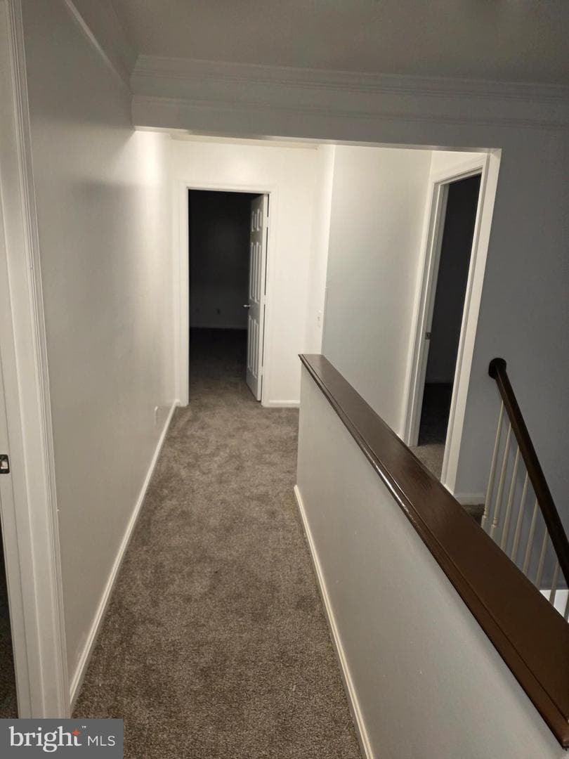 3551 Forest Haven Drive photo 22