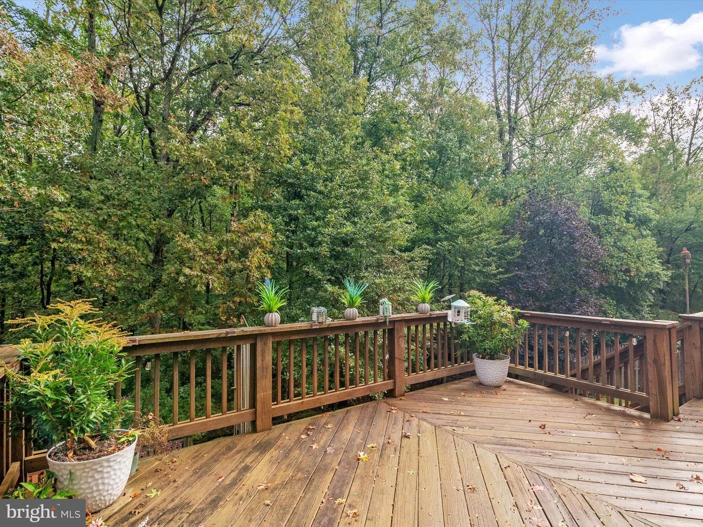 2604 Streamview Drive photo 35