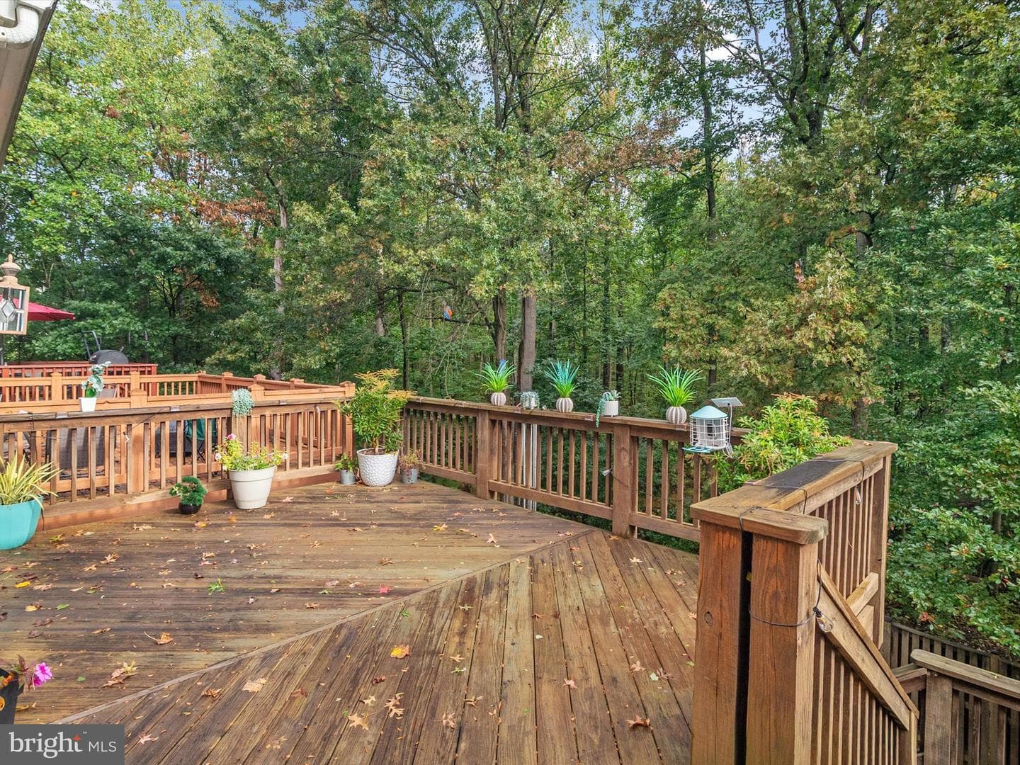 2604 Streamview Drive photo 36