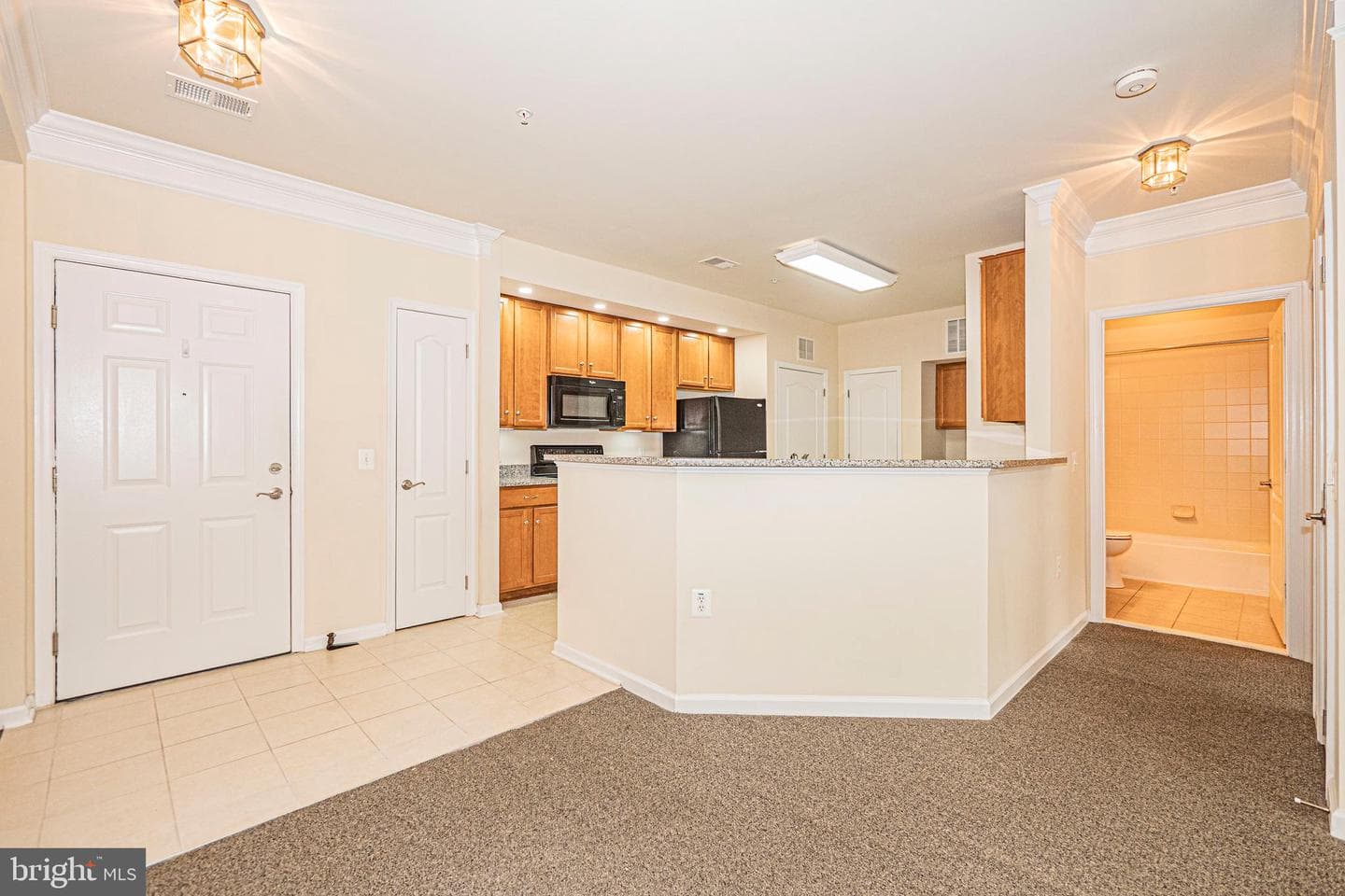 1405 Wigeon Way #206 photo 2